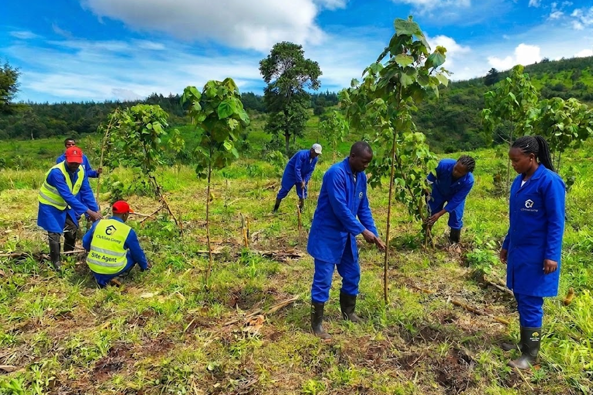 Tree Planting Program